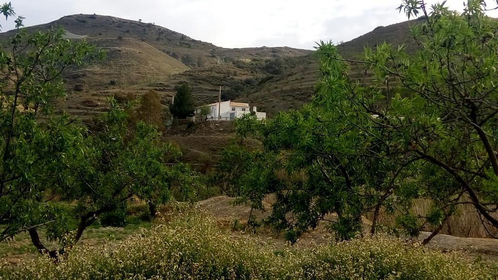 Cortijo Claudia Guest House Taberno Exterior photo
