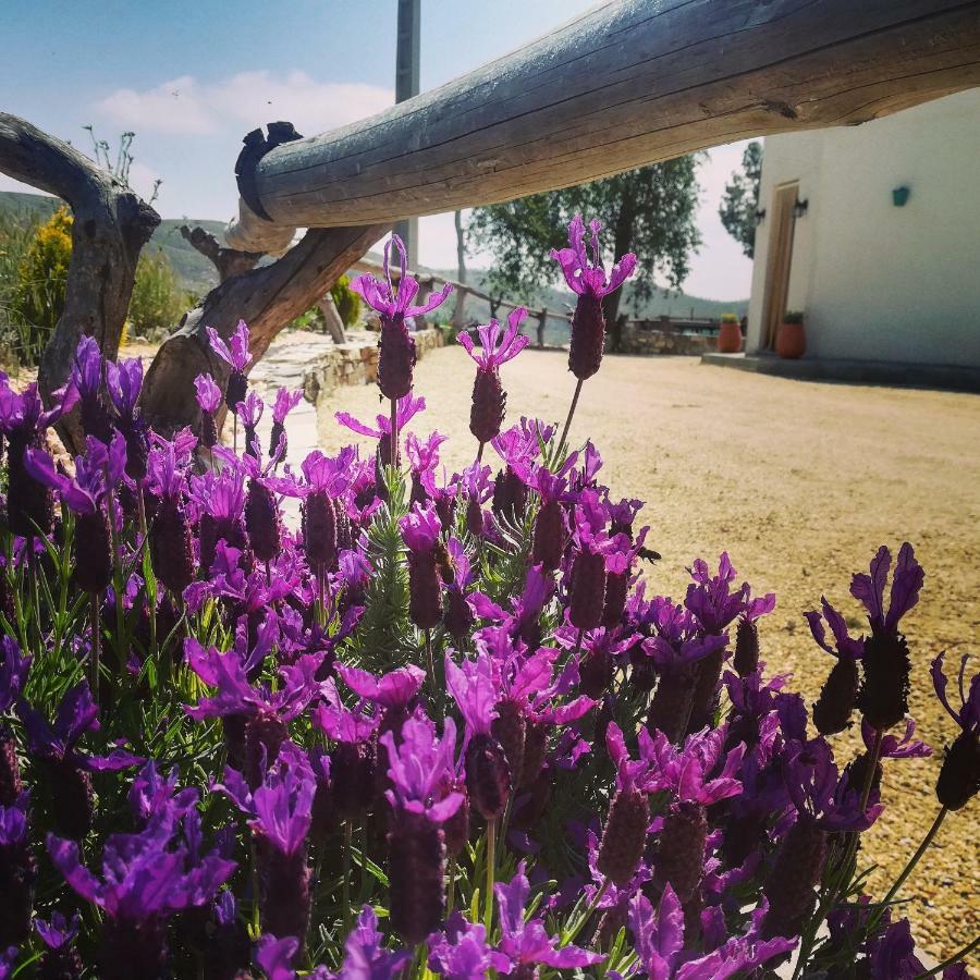 Cortijo Claudia Guest House Taberno Exterior photo