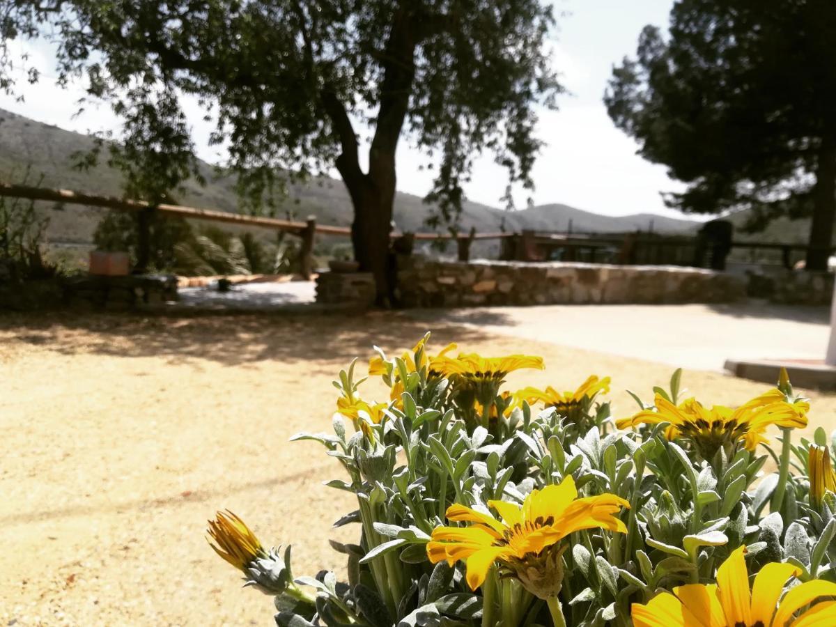 Cortijo Claudia Guest House Taberno Exterior photo